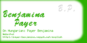 benjamina payer business card